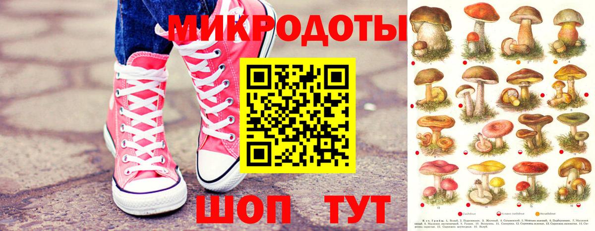 Псилоцибиновые грибы Psilocybine cubensis  как найти   Знаменск  Вход с VPN  Псилоцибиновые грибы Psilocybe 