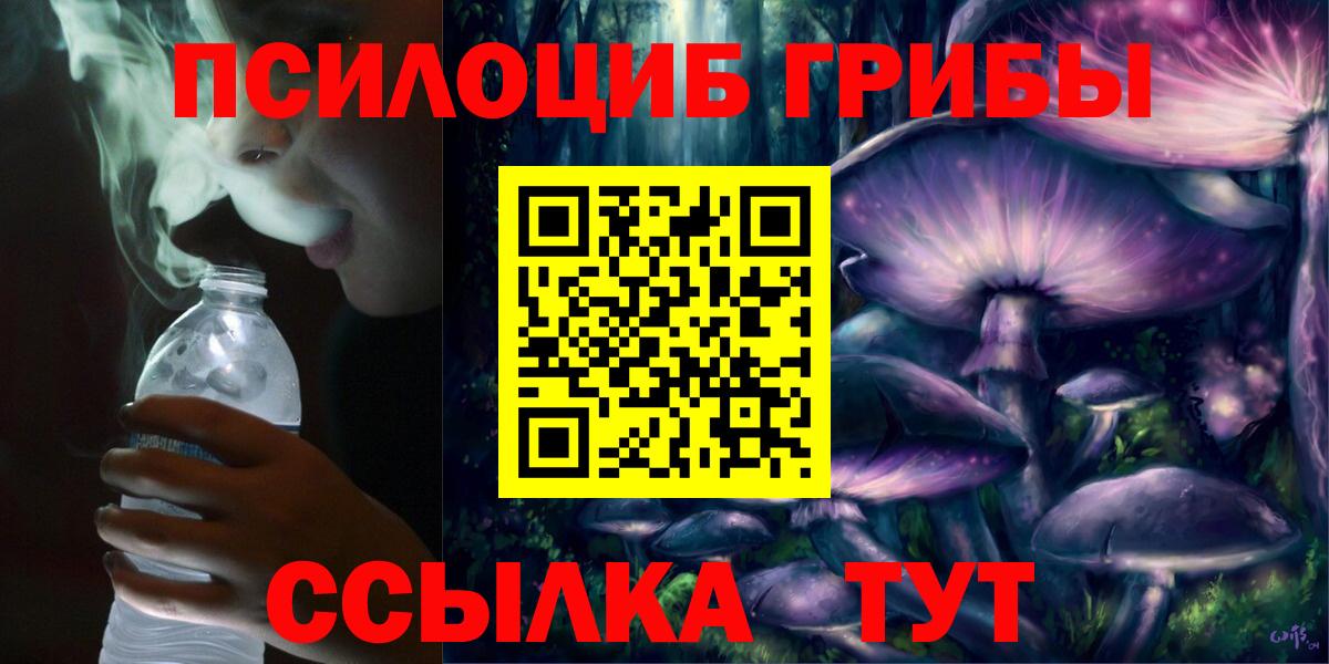 Псилоцибиновые грибы прущие грибы Знаменск
